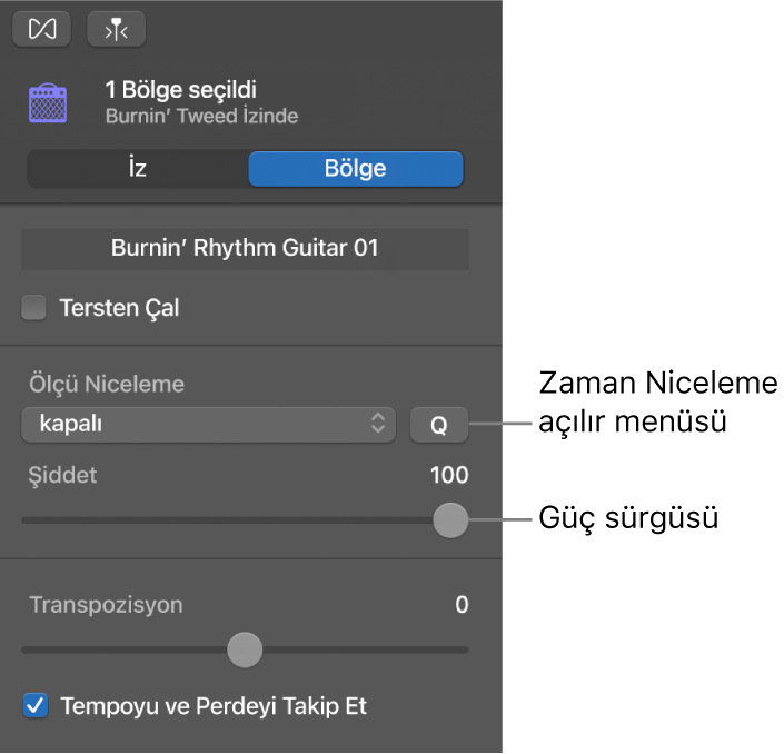 Ölçü Niceleme açılır menüsünü ve Şiddet sürgüsünü gösteren Ses Düzenleyici denetçisi.