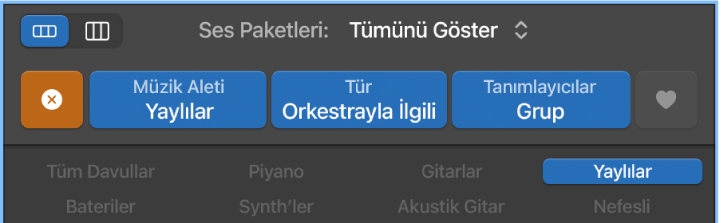 Döngü Tarayıcı’da Sıfırla düğmesi.