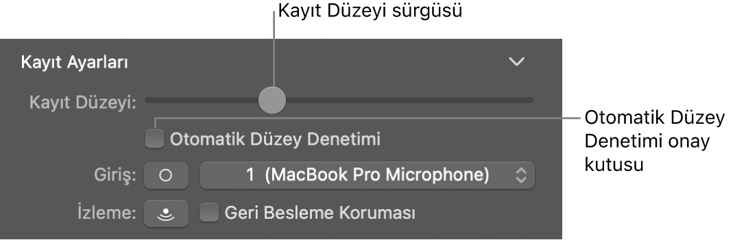 Smart Controls denetçisindeki Kayıt Düzeyi sürgüsü ve Otomatik Düzey Denetimi onay kutusu.