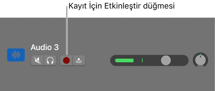 Kayıt İçin Etkinleştir düğmesini gösteren iz başlığı.