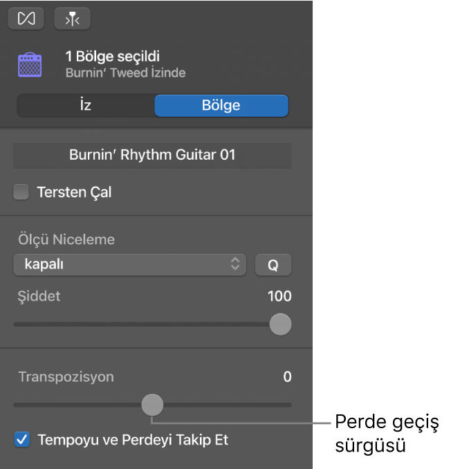 Transpozisyon sürgüsünü gösteren, Bölge modundaki Ses Düzenleyici denetçisi.