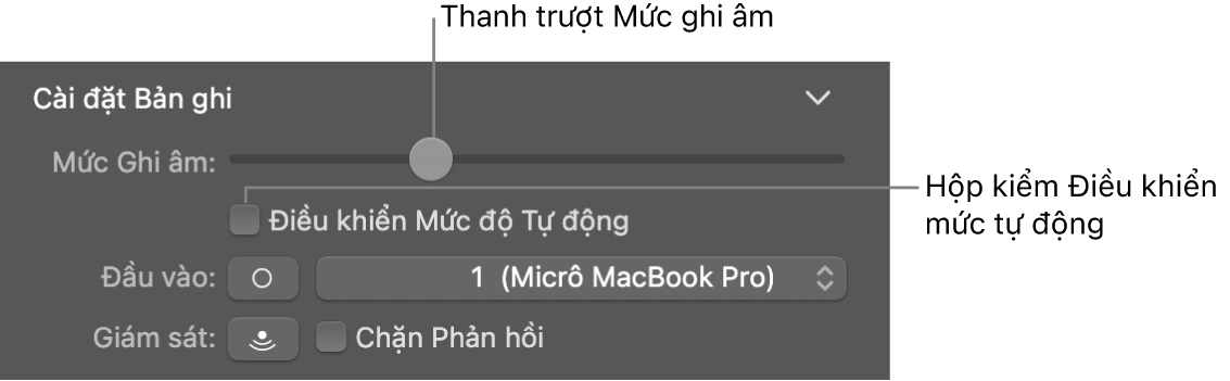 Thanh trượt Mức ghi âm và hộp kiểm Điều khiển mức tự động trong trình kiểm tra Smart Control.