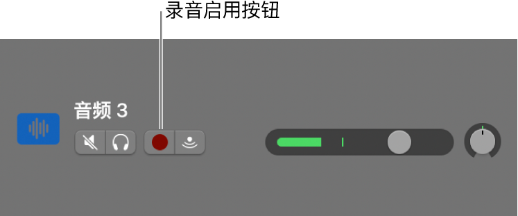 显示“录音启用”按钮的轨道头。