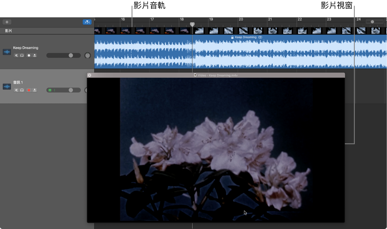 浮動的「影片」視窗和包含影片中音訊的音軌。