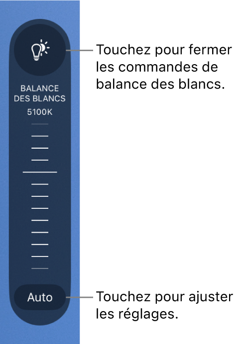 La molette « Balance des blancs » avec un bouton Auto au bas.
