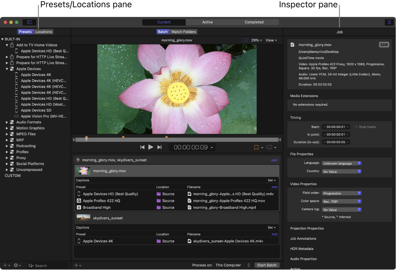 프리셋 패널 및 인스펙터 패널이 표시된 Compressor 윈도우
