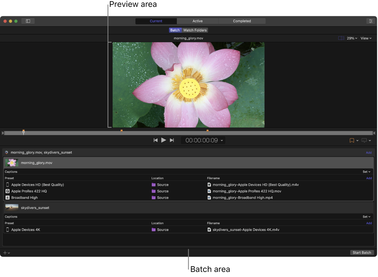 Compressor 윈도우의 기본 레이아웃