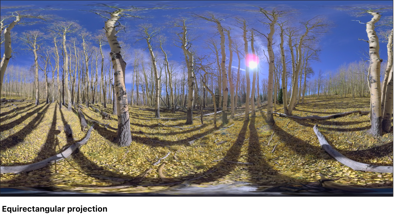 等距柱状投影,一种像世界地图一样压缩和变形球面数据的模式。