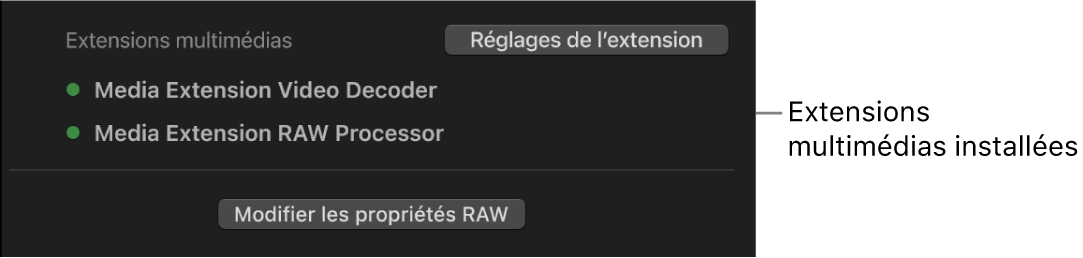 La section « Extensions multimédias » de lʼinspecteur d’informations, avec des points verts en regard des extensions multimédias qui sont utilisées pour décoder le plan sélectionné.