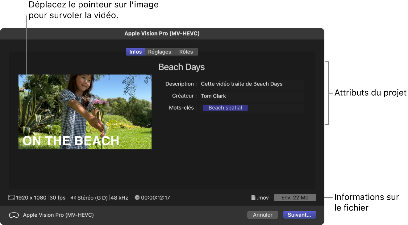 Fenêtre Infos de la fenêtre Partager pour la destination Apple Vision Pro (MV-HEVC)