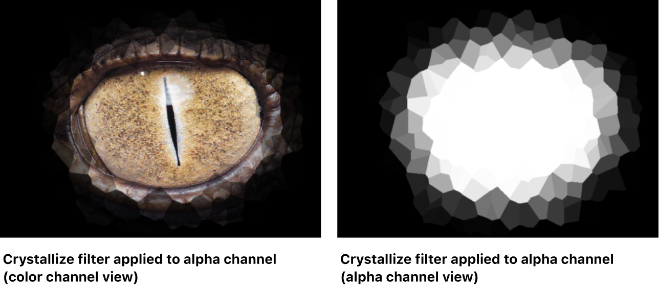 显示应用了滤镜的蒙版的画布