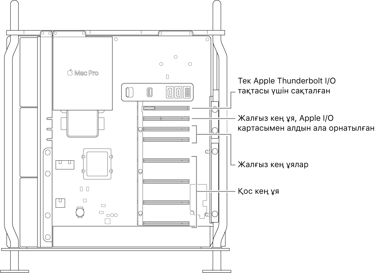 Төрт қос кең ұяны, екі жалғыз кең ұяны, Apple I/O картасы үшін бір кең ұяны және Thunderbolt I/O тақтасы үшін ұяны көрсетіп тұрған тілше деректері бар ашық Mac Pro компьютерінің бүйірі.