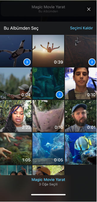 Bir albümdeki klipler ve fotoğraflar; birçok klibin sağ alt köşesinde bulunan sayılar bunların projede görüneceği sırayı gösteriyor.