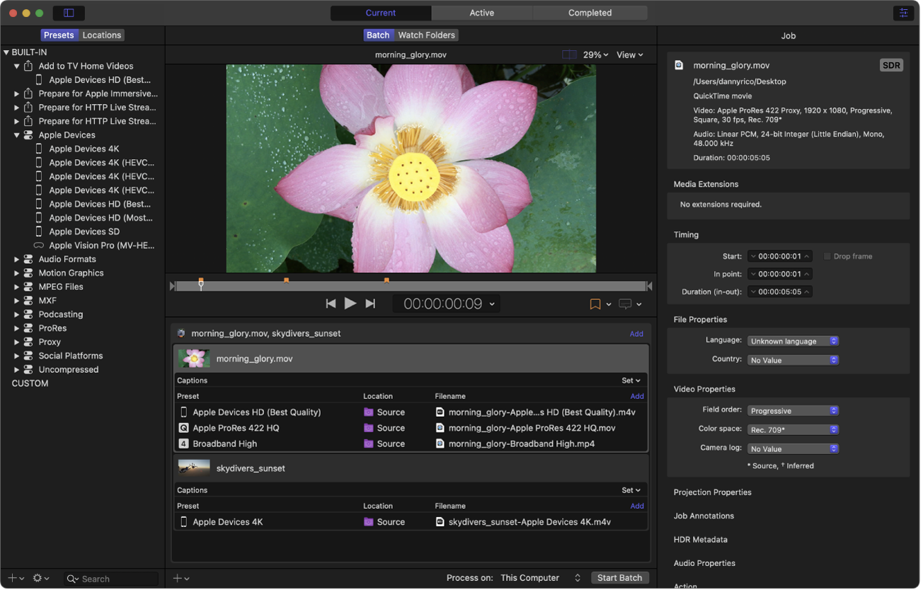 Ventana principal de Compressor
