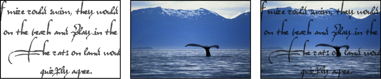 Un ejemplo de mezcla Multiplicar, que muestra dos imágenes fuente y la imagen resultante de la mezcla