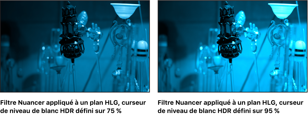 Le canevas montrant les effets des ajustements du curseur « Niveau de blanc HDR » sur le filtre Teinte.