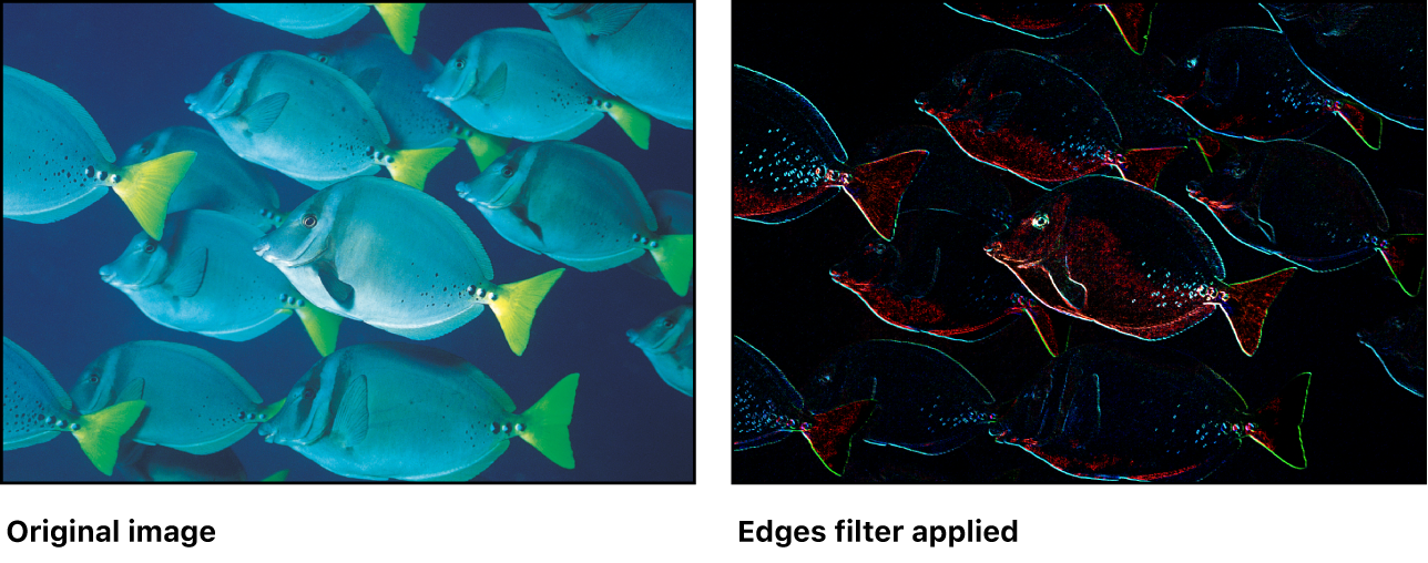 가장자리 필터의 효과를 보여주는 캔버스