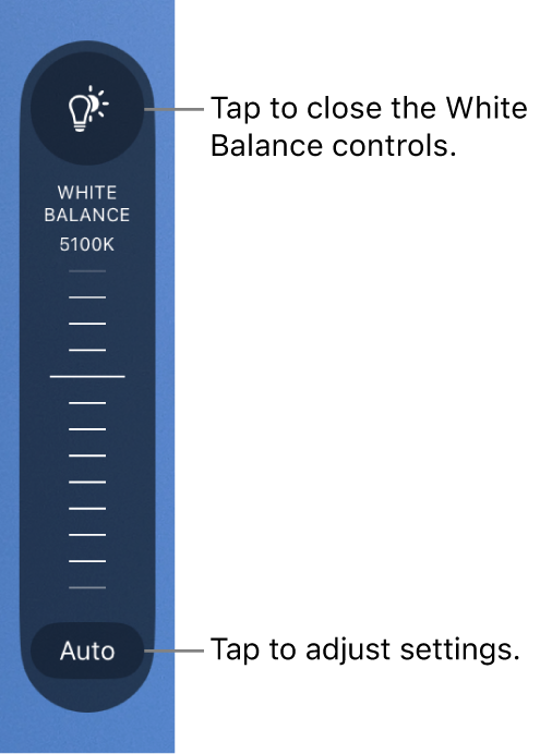 Der Regler für den Weißabgleich mit der Taste „Auto“ am unteren Rand.