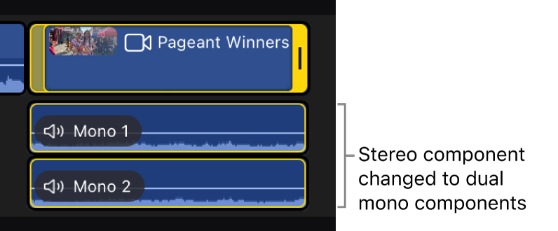 Expanded clip in the timeline after being converted to dual mono components.