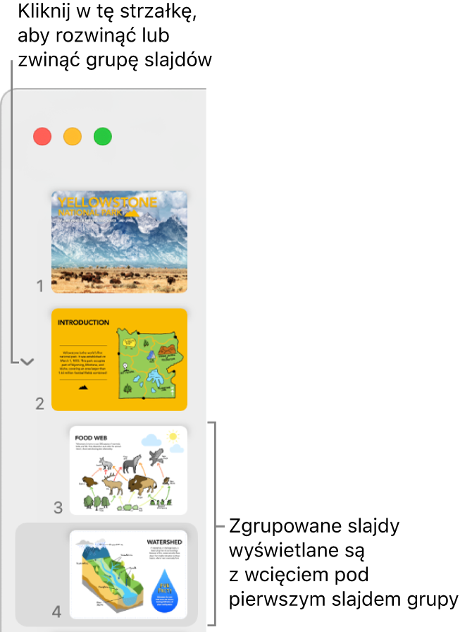 Nawigator slajdów wyświetlający slajdy z wcięciem.