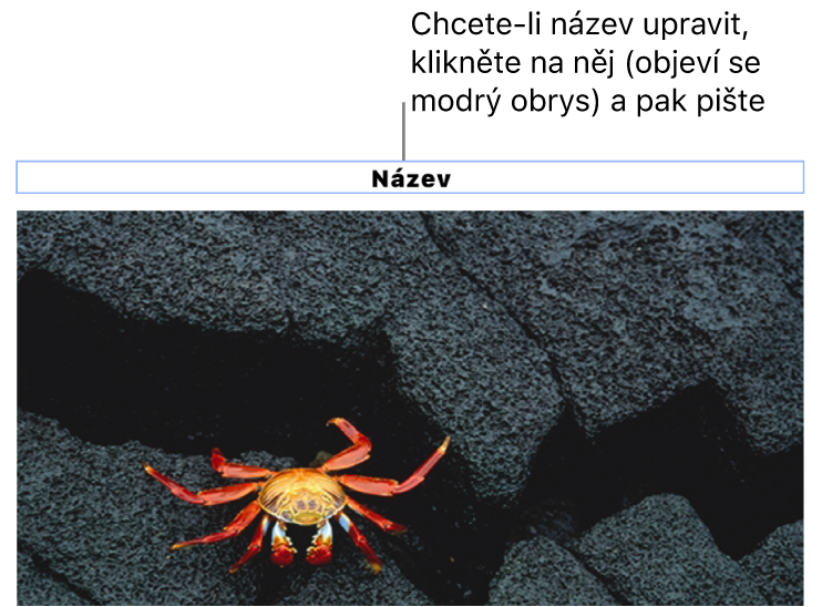 Pod fotkou se nachází maketa nadpisu s názvem „Nadpis“; pole nadpisu je zvýrazněné modrým obrysem