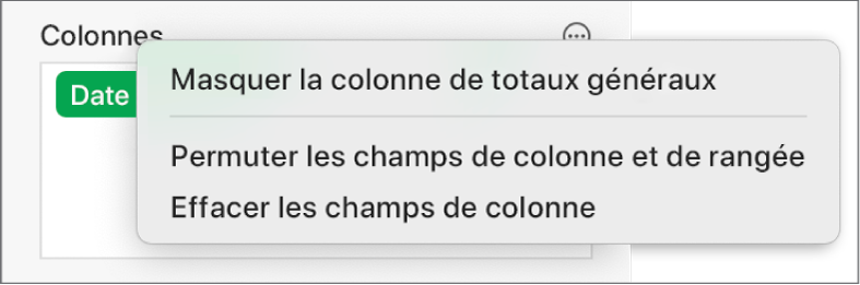 Menu Options de champ avec commandes permettant de masquer les totaux généraux, de permuter les champs de colonne et de rangée et d’effacer des champs.