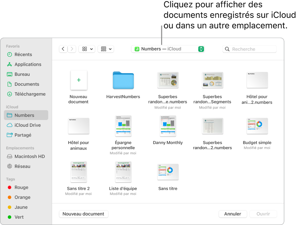 La zone de Dialogue Ouvrir avec la barre latérale ouverte sur la gauche et iCloud Drive sélectionné dans le menu local en haut. Des dossiers pour Keynote, Numbers et Pages apparaissent dans la zone de dialogue, ainsi que le bouton Nouveau document.