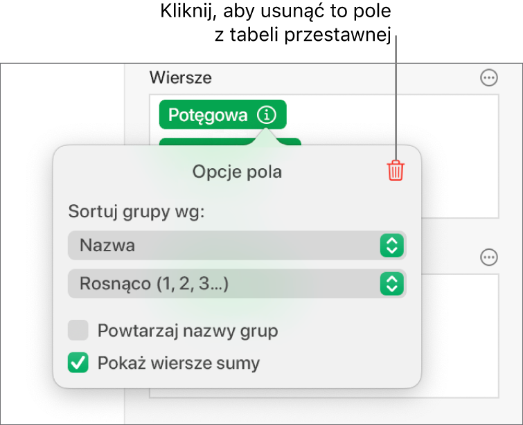 Menu Opcje pola pokazujące narzędzia grupowania i sortowania danych, a także opcja usuwania pola.