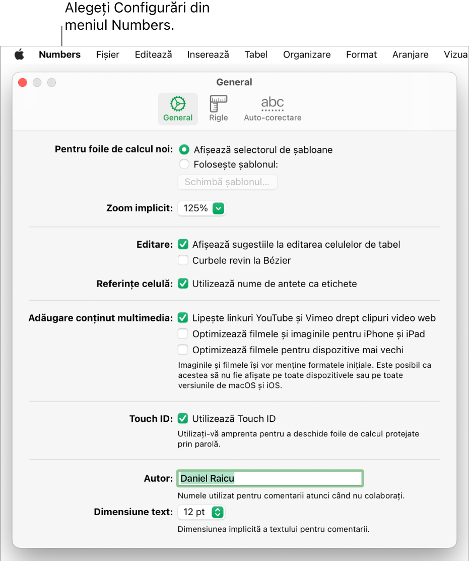 Fereastra de configurări Numbers deschisă la panoul General, cu configurări pentru foile de calcul noi, zoom implicit, editare, referințe de celulă, ecuații, adăugarea conținutului multimedia, Touch ID, numele autorului și dimensiunea implicită a textului.