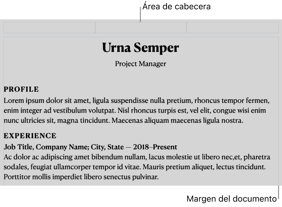 La vista de disposición mostrando el área de cabecera y los márgenes del documento.