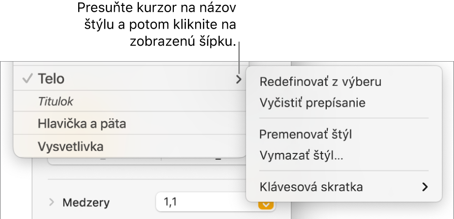Menu Štýly odseku s otvoreným menu skratiek.