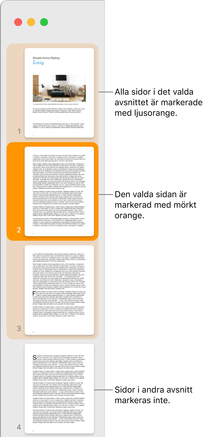 Sidofältet Miniatyrvy med den valda sidan markerad med mörkt orange och alla sidor i det valda avsnittet markerade med ljust orange.