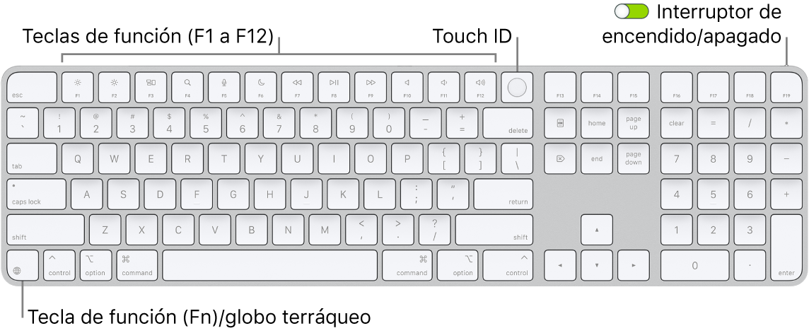 El Magic Keyboard con Touch ID y teclado numérico mostrando la fila de teclas de función con el sensor Touch ID en la parte superior y la tecla de función (Fn)/globo terráqueo a la derecha de la tecla Suprimir.