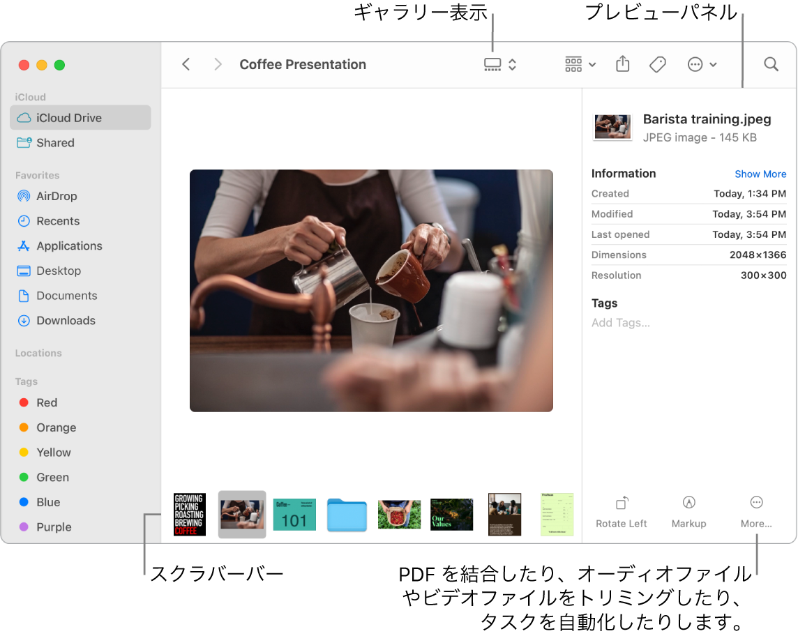 ギャラリー表示で開いているFinderウインドウ。大きい写真と、その下に1列に並んだ小さい写真(スクラバーバー)が示されています。回転やマークアップなどのコントロールがスクラバーバーの右側にあります。