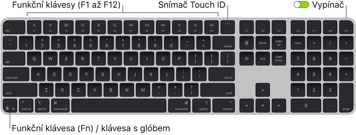 Klávesnice Magic Keyboard s Touch ID a numerickou klávesnicí, na které je vidět řada funkčních kláves a snímač Touch ID u horního okraje a funkční klávesa Fn / klávesa s glóbem vlevo dole.