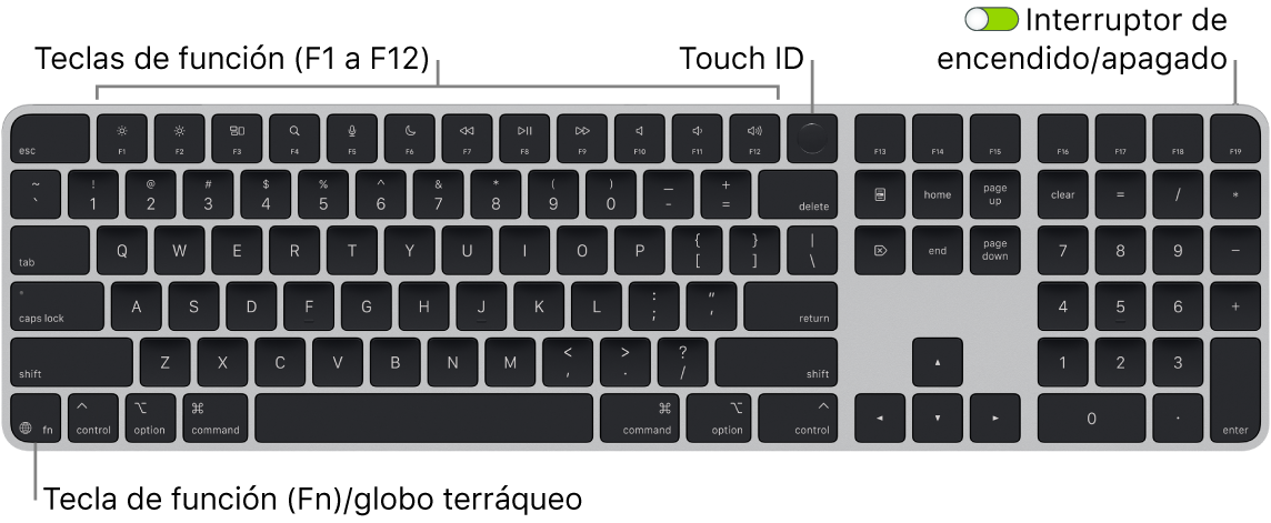 El Magic Keyboard con Touch ID y teclado numérico mostrando la fila de teclas de función con el sensor Touch ID en la parte superior y la tecla de función (Fn)/globo terráqueo en la parte inferior izquierda.