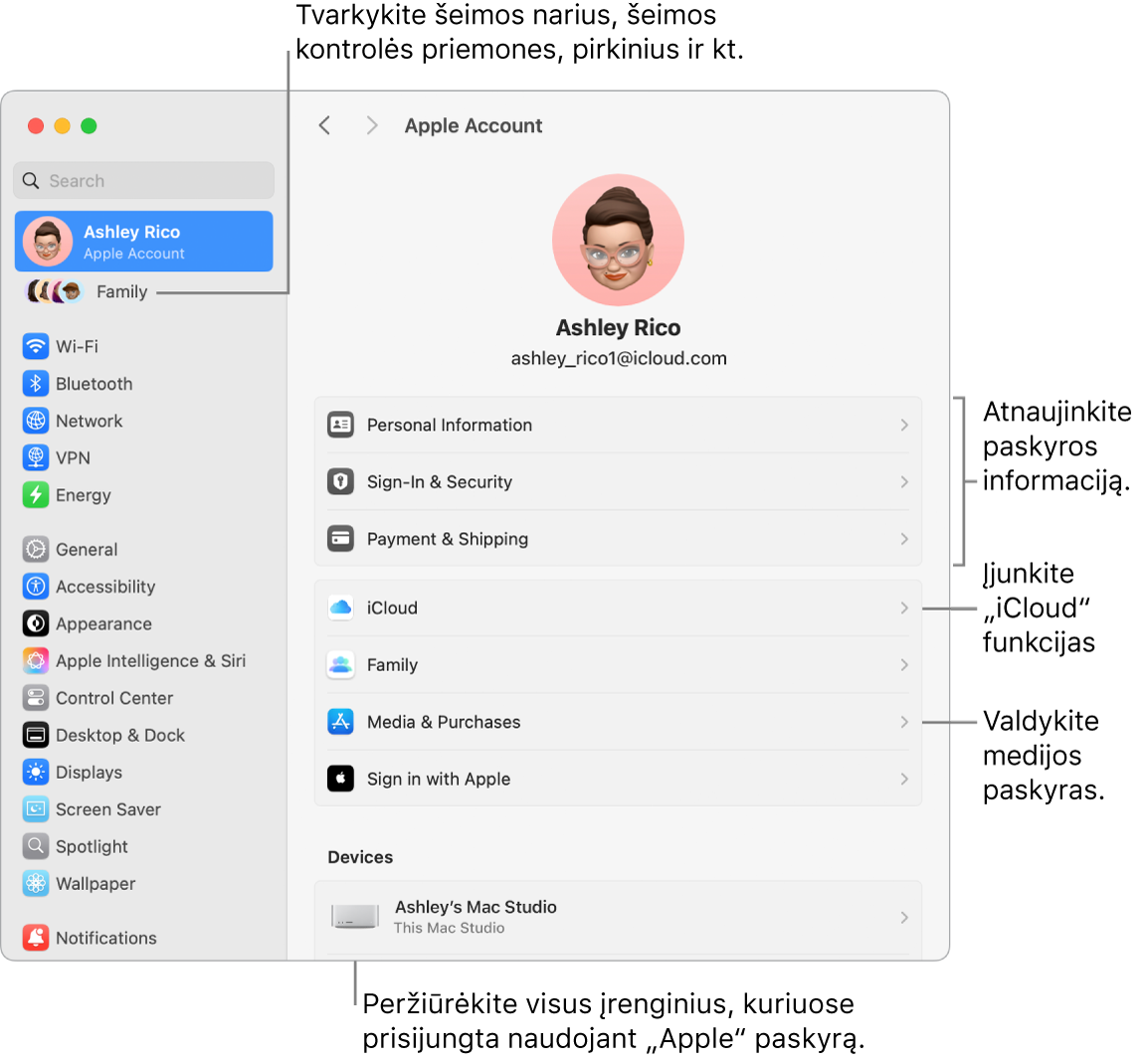 Skiltyje „System Settings“ pateikiami „Apple“ paskyros nustatymai su šaukiniais, skirtais atnaujinti paskyros informaciją, įjungti arba išjungti „iCloud“ funkcijas, tvarkyti medijos paskyras, ir „Family“, kur galite tvarkyti šeimos narius, tėvų kontrolę, pirkinius ir kt.