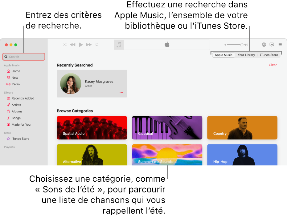 La fenêtre Apple Music, avec le champ de recherche en haut à gauche de la fenêtre, la liste de catégories au centre de la fenêtre et « Apple Music », « Votre bibliothèque » et « iTunes Store » disponibles en haut à droite de la fenêtre. Entrez des critères de recherche dans le champ de recherche, puis choisissez d’effectuer la recherche dans tout Apple Music, seulement dans votre bibliothèque ou dans l’iTunes Store.