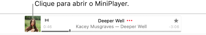 Clique na capa do álbum à esquerda do banner para abrir o Minirreprodutor.