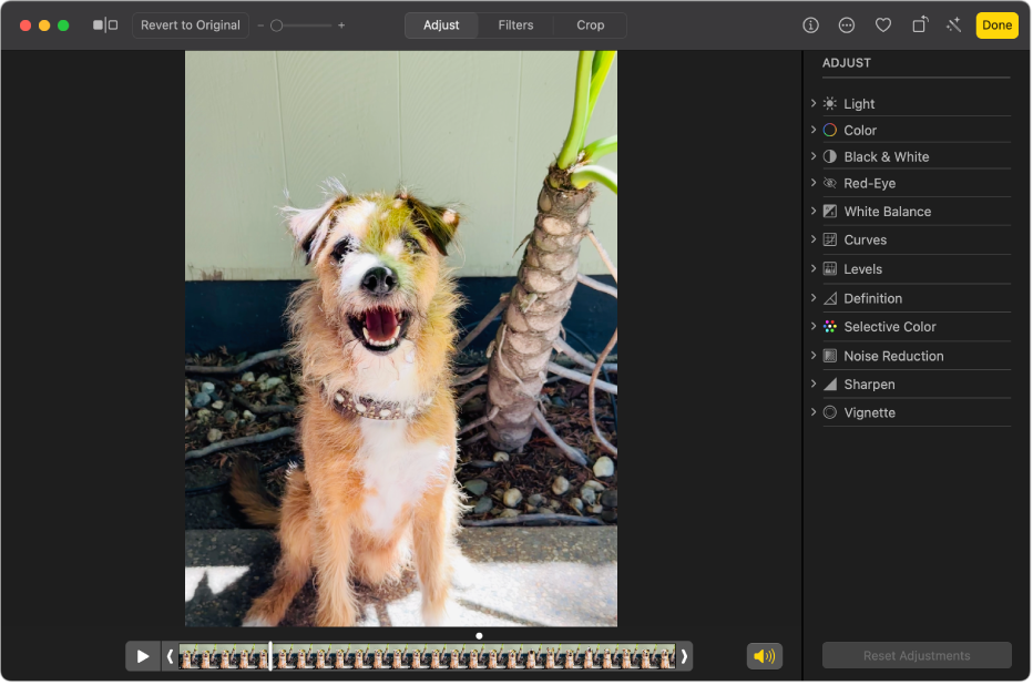 Ein Videoclip in der Bearbeitungsansicht mit einem Regler darunter, der die Bilder des Videos zeigt. Die Tasten „Lautsprecher“ und „Wiedergabe“ befinden sich links neben dem Regler; rechts davon erscheinen die Anpassungswerkzeuge.