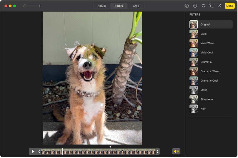Ein Videoclip in der Bearbeitungsansicht mit einem ausgewählten Filter oben im Fotos-Fenster und Filteroptionen rechts.