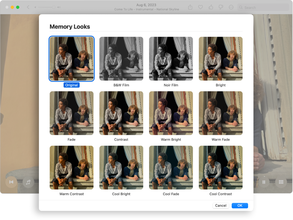 Fenêtre Photos montrant les styles que vous pouvez appliquer aux éléments d’un souvenir.