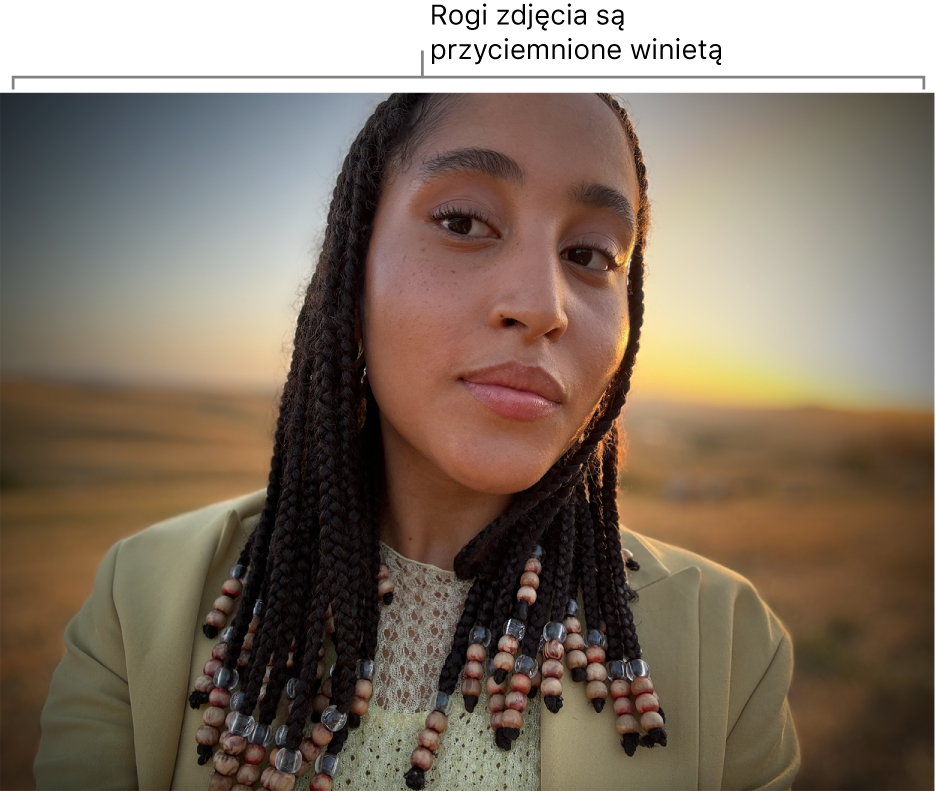 Zdjęcie z zastosowanym efektem winiety zaciemniającym jego krawędzie.