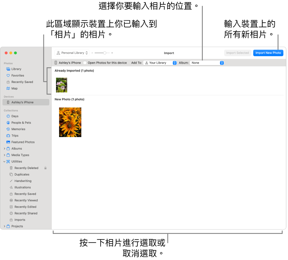 你已從裝置輸入的相片會顯示在「輸入」視窗最上方;新相片位於底部。 最上方中間是「相簿」彈出式選單。 「輸入」按鈕位於右上角。