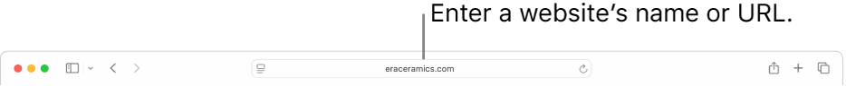 The Smart Search field, located in the middle of the Safari toolbar.