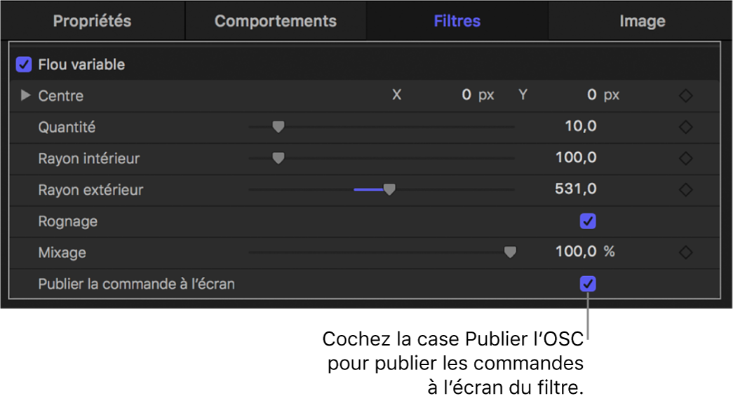 Inspecteur de filtres affichant la case « Publier les commandes à l’écran »