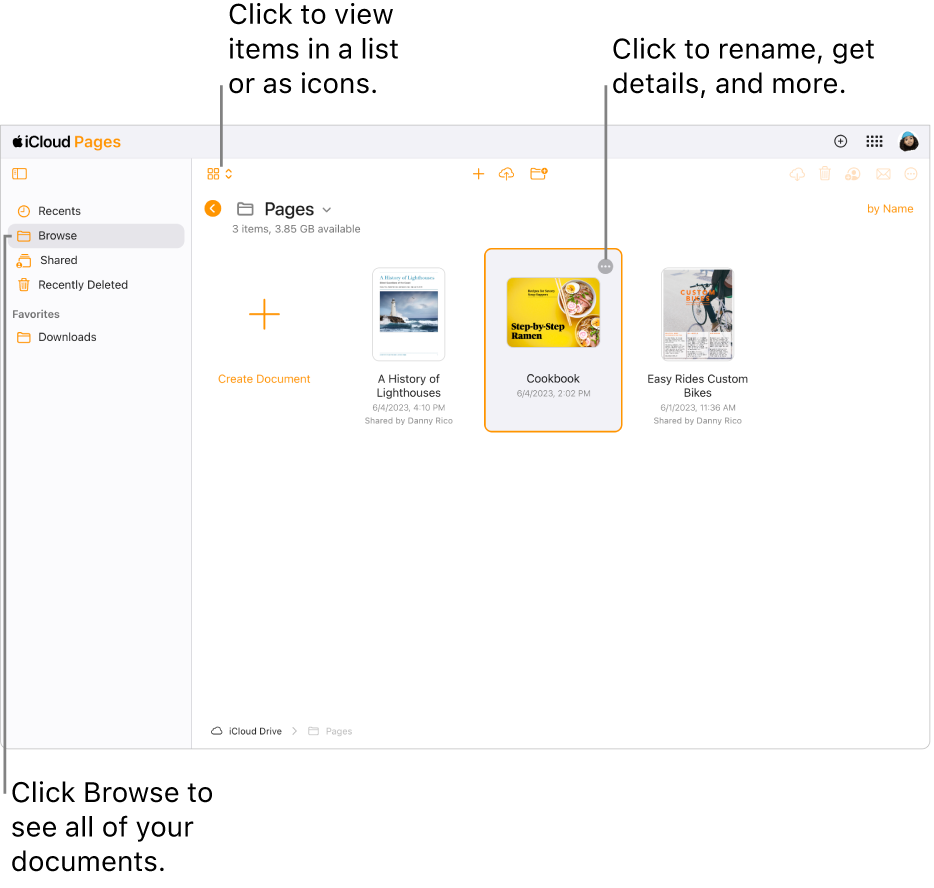 The document manager in browse view, showing Pages documents as icons in a grid. The More button (three dots) is visible in the upper-right corner of the selected document. Above the documents, the left side of the toolbar has a pop-up menu where you can choose to view items as icons or in a list. On the right side of the toolbar are buttons to download, collaborate, email, or delete.