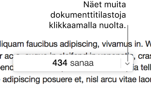 Sanamäärä dokumentin tilastotietoja esittelevässä ponnahdusvalikossa.