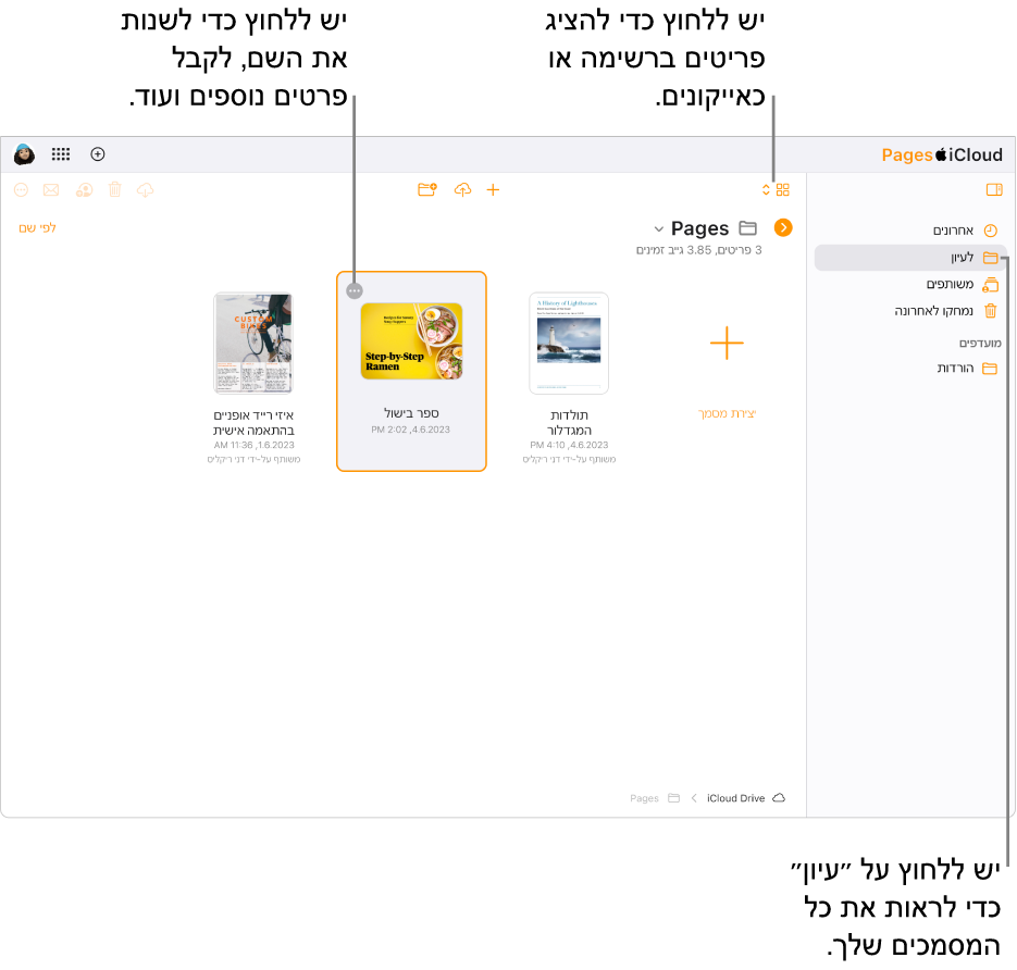 מנהל המסמכים בתצוגת עיון, מציג מסמכים של Pages כאייקונים בתצוגת רשת. הכפתור ״עוד״ (שלוש נקודות) מופיע בפינה הימנית העליונה של המסמך שנבחר. מעל למסמכים, הצד הימני של סרגל הכלים כולל תפריט קופצני שבו ניתן לבחור אם להציג פריטים כאייקונים או ברשימה. בצד השמאלי של סרגל הכלים יש כפתורים להורדה, שיתוף פעולה, שליחה בדוא״ל או מחיקה.