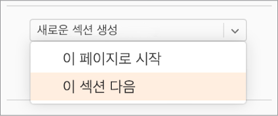 "새로운 섹션 생성" 팝업 메뉴가 열리고, "이 섹션 다음"이 선택됩니다.